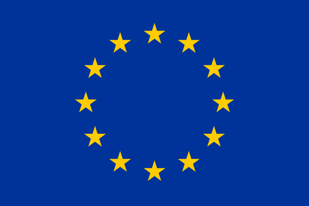 european project